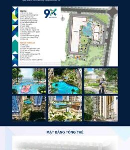 Theme wordpress bds 1