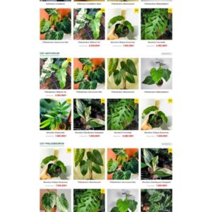 Theme wordpress bán cây xanh nhiệt đới ,cây xanh 2