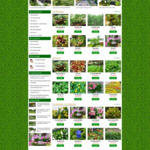 Thiết Kế Website Bán Cây Xanh