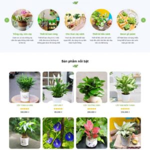 Theme wordpress cây xanh 3