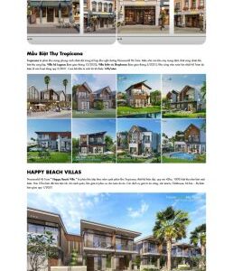 Theme wordpress bds novaland