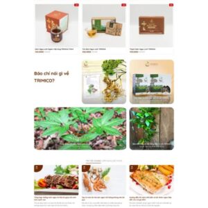 Thiết Kế Website Bán Sâm Ngọc Linh